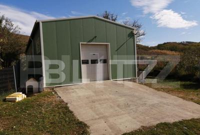 Hala industriala, 210 mp utili, 4100 mp teren, zona Bontida - 2