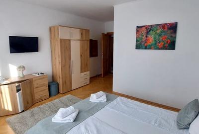 Casa  132mp utili si curte ,spre inchiriere  in zona Parcul SubArini - 10