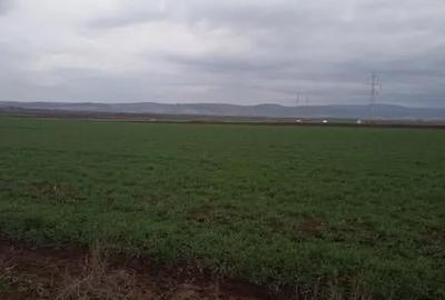 Teren de 3958 mp, în Ozun - 8
