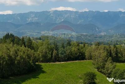 Teren de 15345 mp, în Șimon - 14
