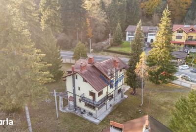 Casă cu 6 camere cu Teren 3677 Mp în Central - 9