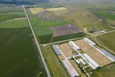 Teren Intravilan Investi?ii 11.600 mp Salonta - 2