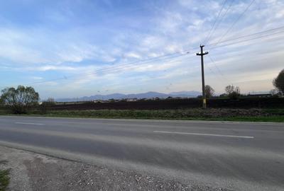 Teren 50000mp Extravilan-Intrare Halchiu-Cod 4486 - 5