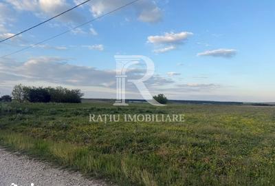 Teren de 2000 mp, în Tămășeu - 3