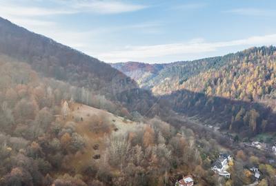 Teren Colinar Panoramic - 17.684 mp in Scheii Brasovului - 8