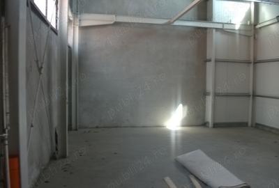 Inchiriere hala Bdul Unirii SM - 1