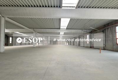 Hale industriale, parc modern, Rudeni, Chitila, Ilfov- ID 15462 Hale industriale, parc modern, Rudeni, Chitila, Ilfov- ID 15462 - 24