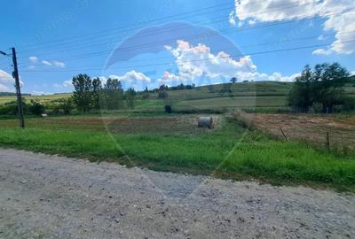 Teren de 2000 mp, în Lăureni - 5