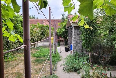 Casă cu 5 camere în Jimbolia - 2