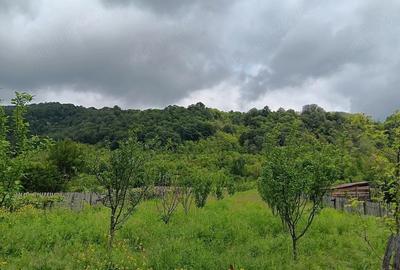 Teren de 2700 mp, în Polovragi - 3
