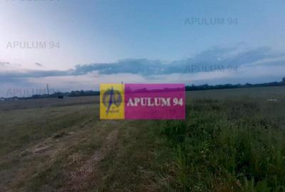 Teren de 3820 mp, în 1 Decembrie