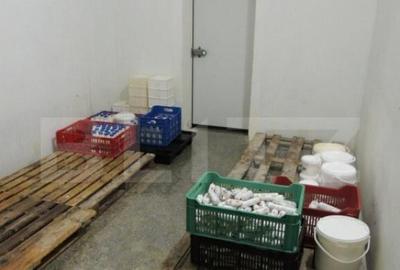 Cladire de vanzare (fosta fabrica de lactate) - 16