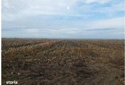 Teren de 5000 mp, în Lunca - 1