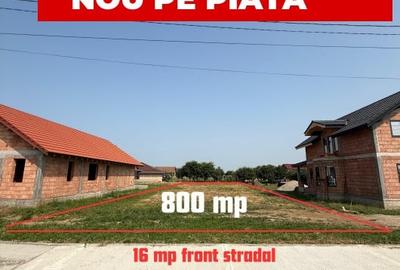 Inchiriem viitorul pe metru patrat, teren 800 mp, intravilan-Peciu Nou - 1