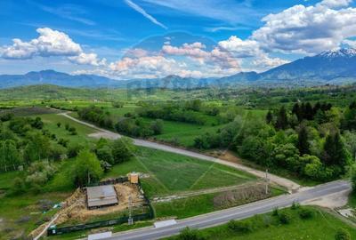 Teren Construcții intravilan de 646 mp, în Tohănița - 5