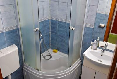 Apartament cu 2 camere decomandat în Teregova - 2