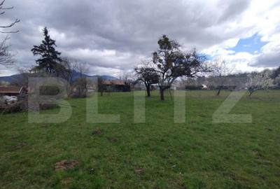 Casa 80mp, teren 7500mp , intravilan, zona Valea Bargaului - 2