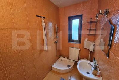 Casă cu 4 camere cu Teren 500 Mp în Cărpiniș (Roșia Montană) - 19