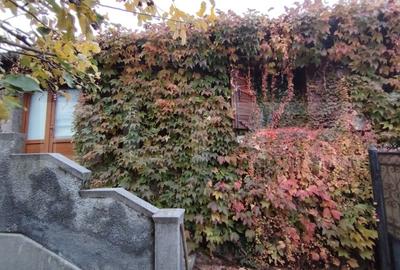 Proprietate in zona Parcului N Romanescu, casa batraneasca si teren de 347 mp - 2