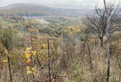 Teren de 787 mp, în Central - 3