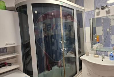 Casa / Vila cu 6 camere de vanzare in zona Calea Severinului - 9