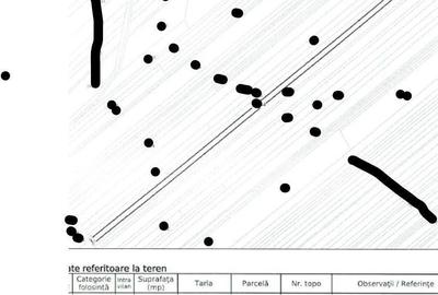 Teren de 24200 mp, în Muntenii de Jos - 11