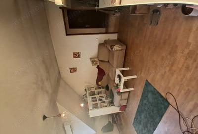 Apartament Snagov - 4