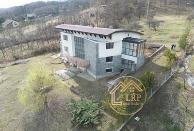 Valenii de Munte-Vila 13 camere, 6500mp teren, ideal business - 3