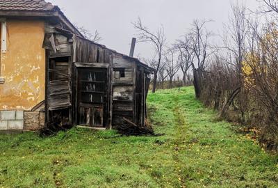 Casă cu 3 camere în Stolnici - 4