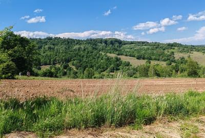 1,3 HA TEREN EXTRAVILAN, Muntii Apuseni, Negreni, jud. Cluj, la 5 km de E60 - 5