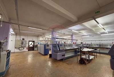 Spatiu industrial/ depozit/birouri de inchiriat in zona Turnisor - 3