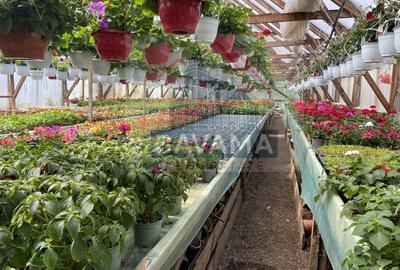 Casa de vanzare,  1354 mp teren,  Tarlungeni - 13