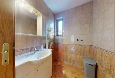 Casă cu 6 camere cu Teren 10331 Mp în Sohodol - 12