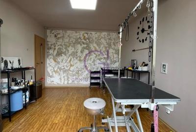 Salon Canin de Vanzare - 4