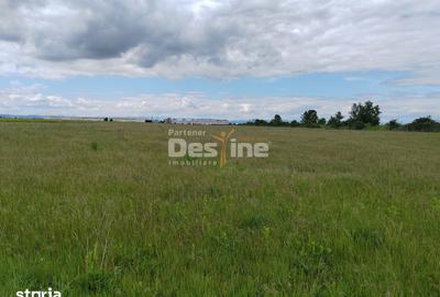 Teren de 114000 mp, în Ariceștii Rahtivani - 10