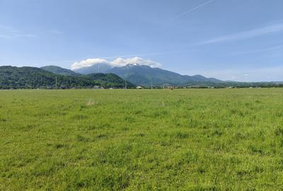 Teren Construcții intravilan de 1000 mp, în Glăjărie - 5