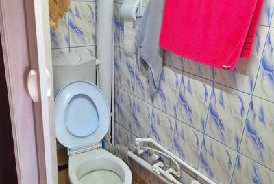 Garsonieră – zona Ozana – Aleea Perișoru - 2