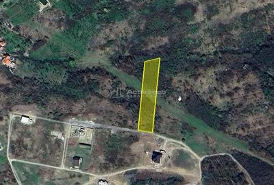 Teren de 5300 mp, în Lugoj - 2