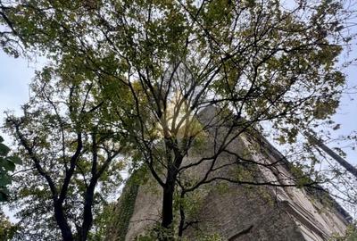 OCCIDENTULUI | SFINTII VOIEVOZI | BUZESTI | APROPIERE METROU PIATA VICTORIEI - 11