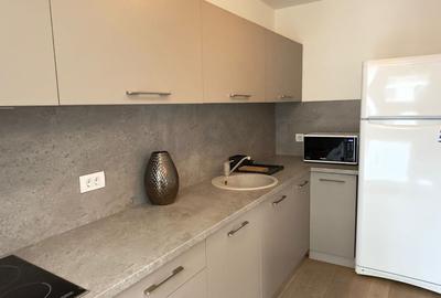 Apartament cu 2 camere decomandat, mobilat în Herăstrău - 5