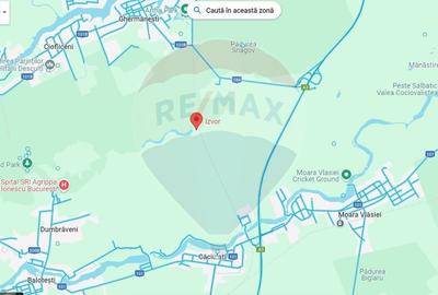 Teren agricol extravilan de 24859 mp, în Snagov - 3