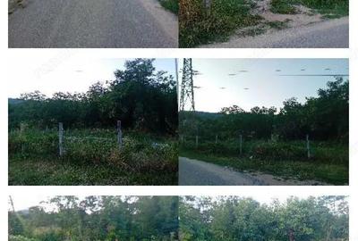 -teren intravilan, loc. Daesti, jud. Valcea - 1