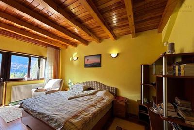 Vila de vacanta situata in Busteni - 7