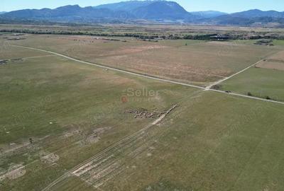 Teren de 14500 mp, în Glăjărie