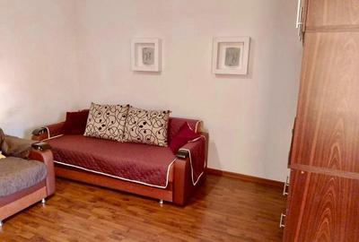 Garsoniera mobilata utilata Berceni Turnu Magurele Garsoniera mobilata utilata Berceni Turnu Magurele - 4