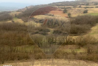 Spațiu comercial, în Vurpăr - 4