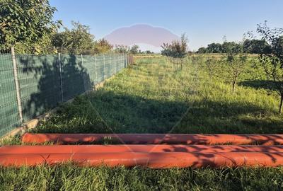Teren agricol intravilan de 5000 mp, în Ruși-Ciutea
