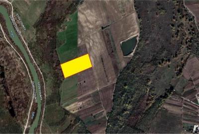 Vanzare teren 21820 mp Arges Darasti-Ilfov - 2