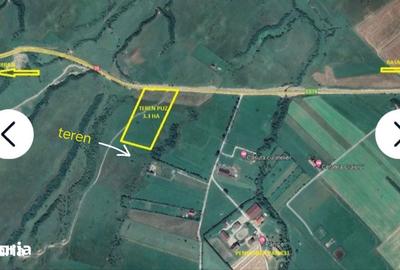 Teren de 10000 mp, în Central