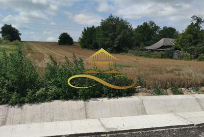 Teren intravilan 5400 mp de vanzare Filipesti / Bacau - 2